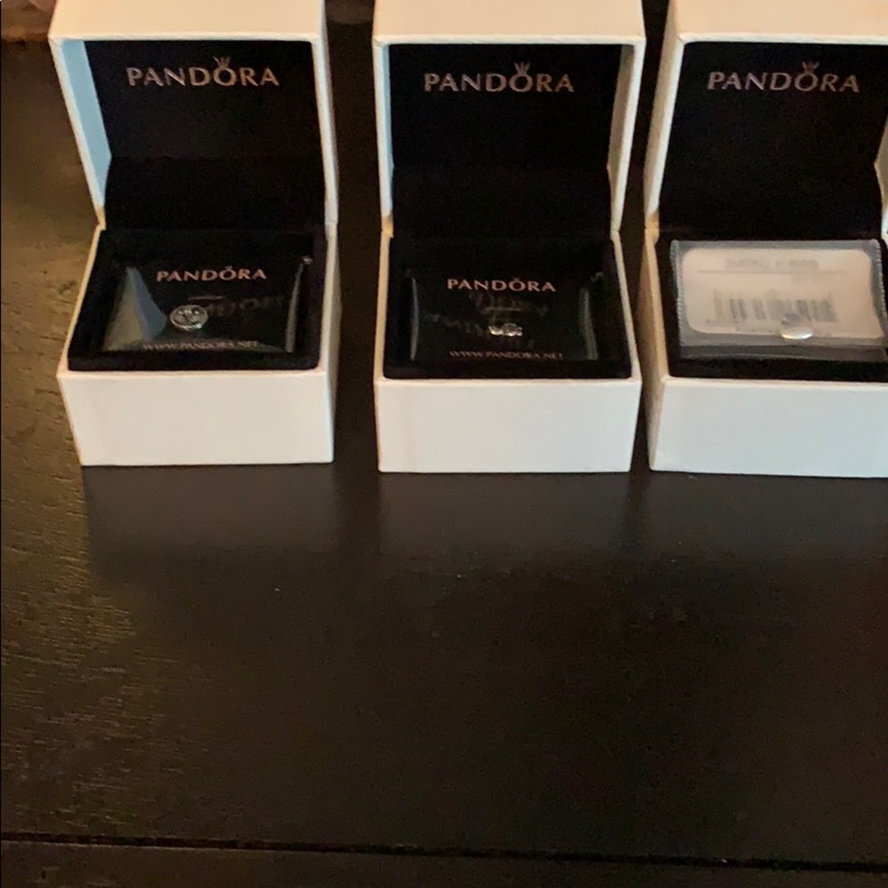 Pandora floating locket charms